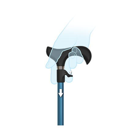 Rise Walking Stick image 4