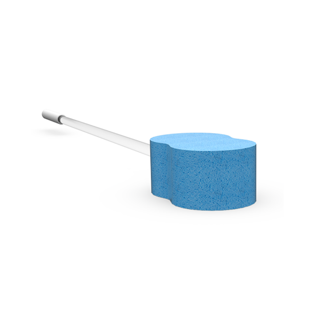 Long Handle Sponge image 0