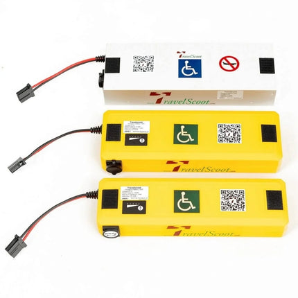 TravelScoot Batteries