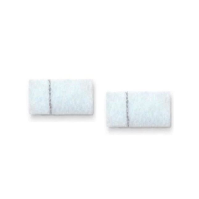 Fisher & Paykel SleepStyle Filter (2 Pack) image 0