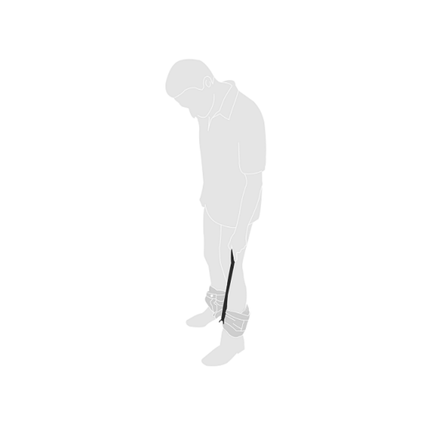 Plastic Shoe Horn / Dressing Stick image 3