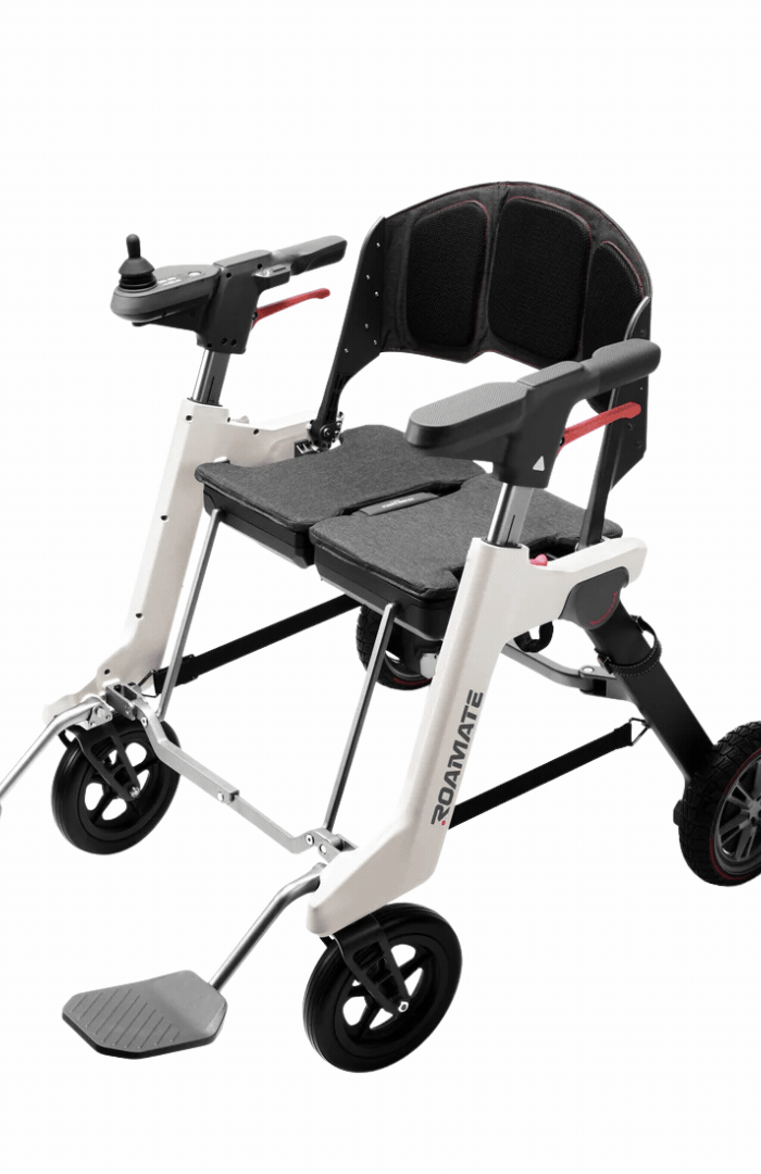 <h5>INTRODUCING YOUR </h5><h5>PERFECT TRAVEL COMPANION</h5><h4>THE</h4>