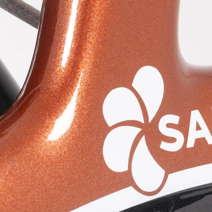 Saljol Carbon All-Rounder