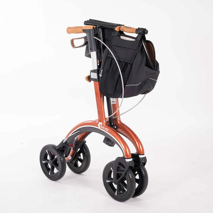 Saljol Carbon All-Rounder