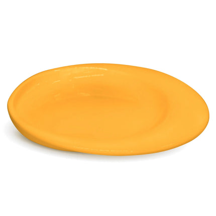 Scoop Plate